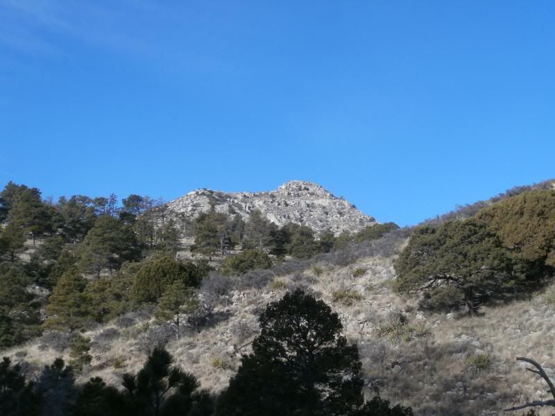 P2090166.jpg