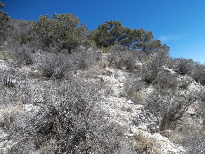 P2090305.jpg