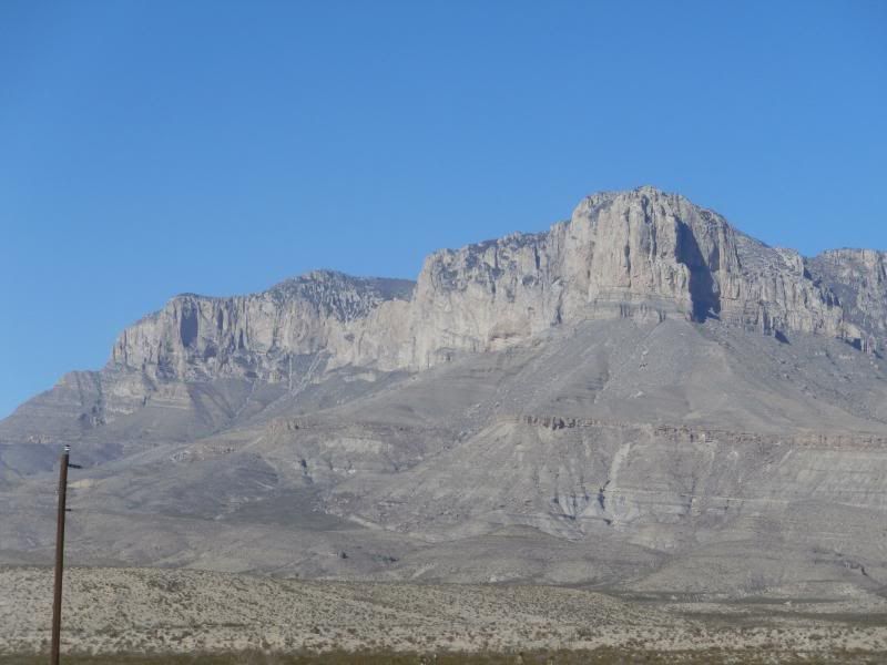 P2090333.jpg