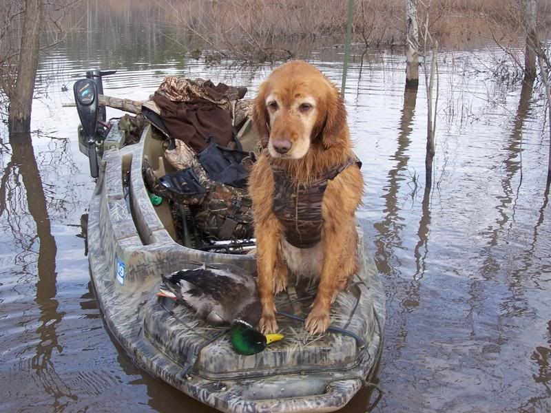 NC Duck Hunters • View topic - Otter Stealth Boats question?