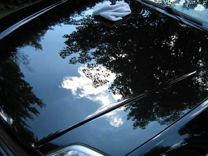 lude05.jpg