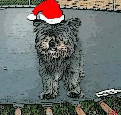 A photoshopped image of a black dog wearing a Santa hat, touched up to look like a painting.