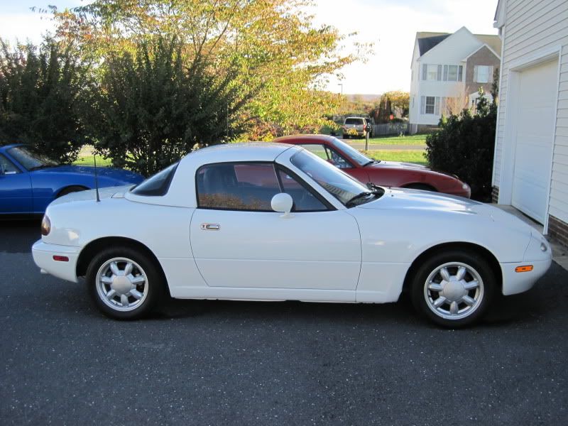 [Image: IMG_1031.jpg]