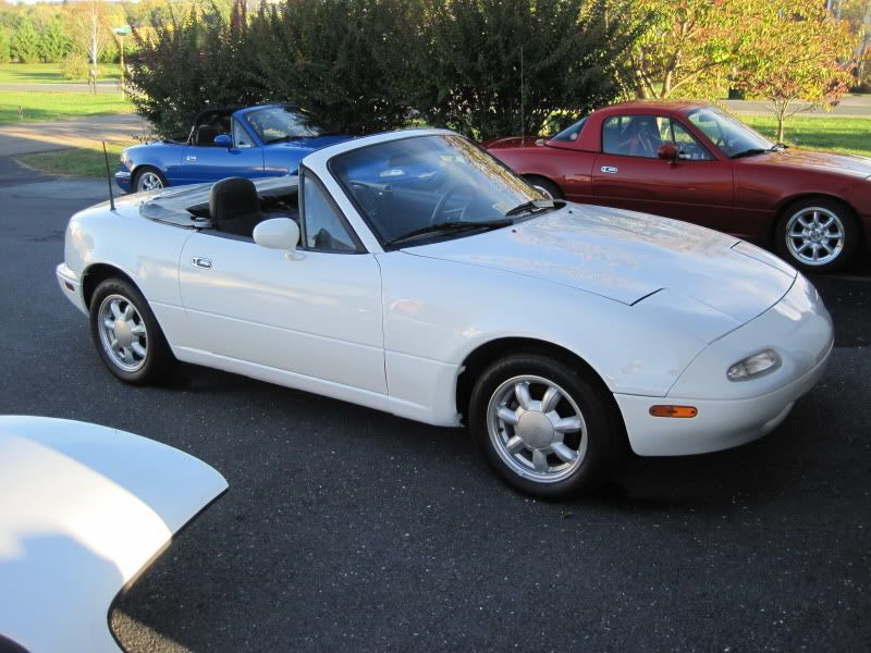 [Image: IMG_1052.jpg]