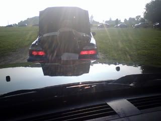 Party in the trunk