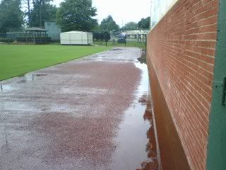 Golden Park field conditions