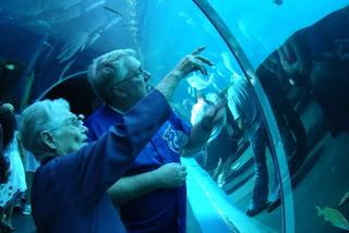 Grandma at the aquarium Grandma at the aquarium