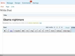 WordPress write screen