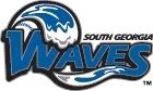 South Georgia Waves