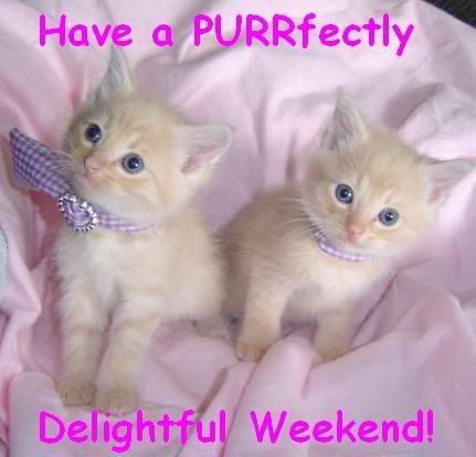 Have a Purrfectly good weekend Pictures, Images and Photos