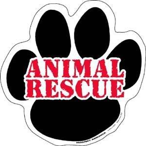 Animal Rescue Pictures, Images and Photos
