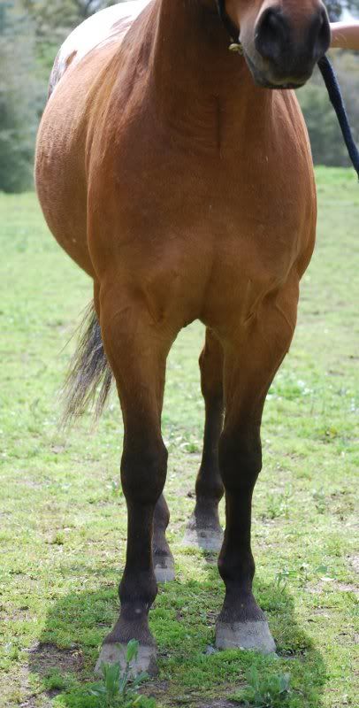 Buddy_Front_Apr10.jpg