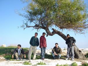 Image hosting by Photobucket