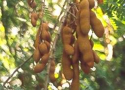 Image hosting by Photobucket