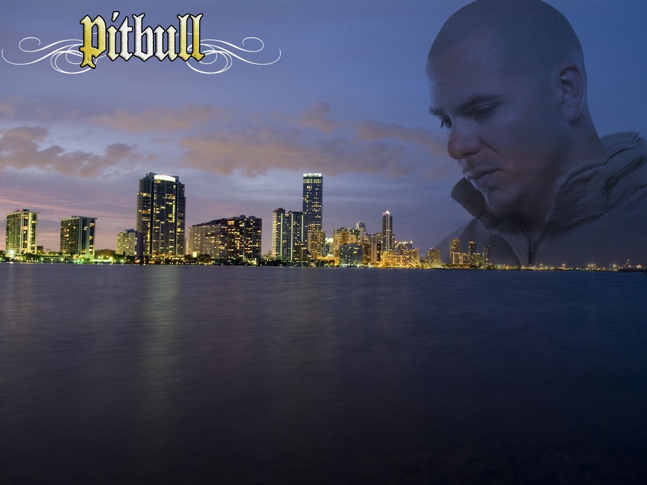 pitbull wallpaper