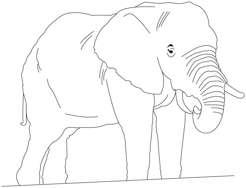 elephantoutlined.jpg