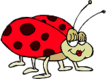 ladybugan2.gif ladybug image by jillh500