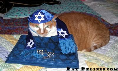 jewkitty.jpg