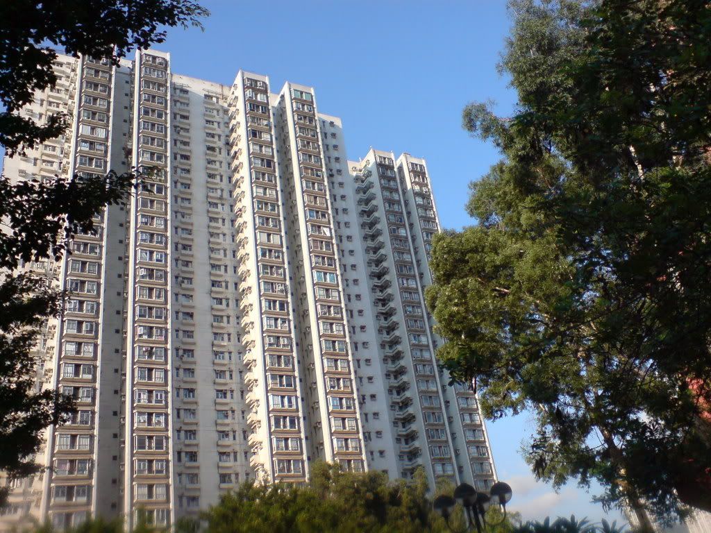 圖檔