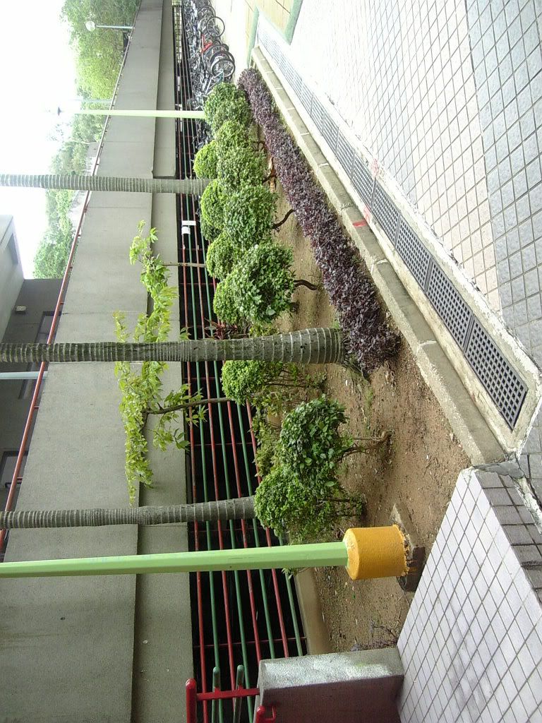 圖檔