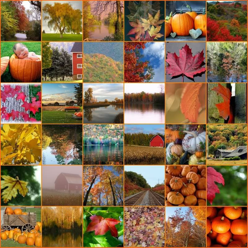 Autumn Pictures, Images and Photos