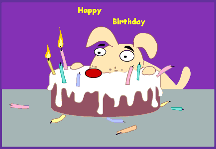 birthday_dog.gif
