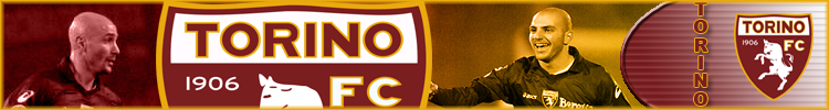 bannertoro.png