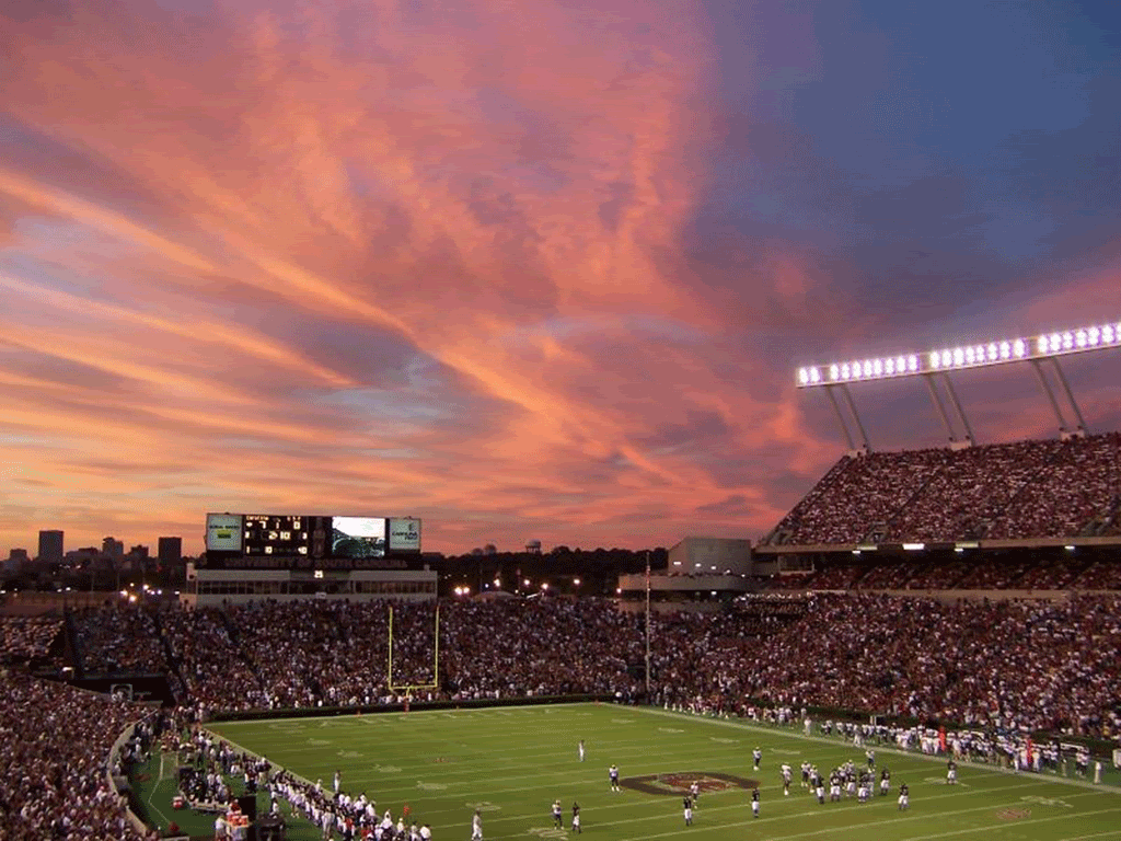 gamecock stadium