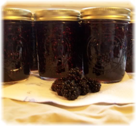 Trixie's Organic Blackberry Jam w/ Berries Pictures, Images and Photos