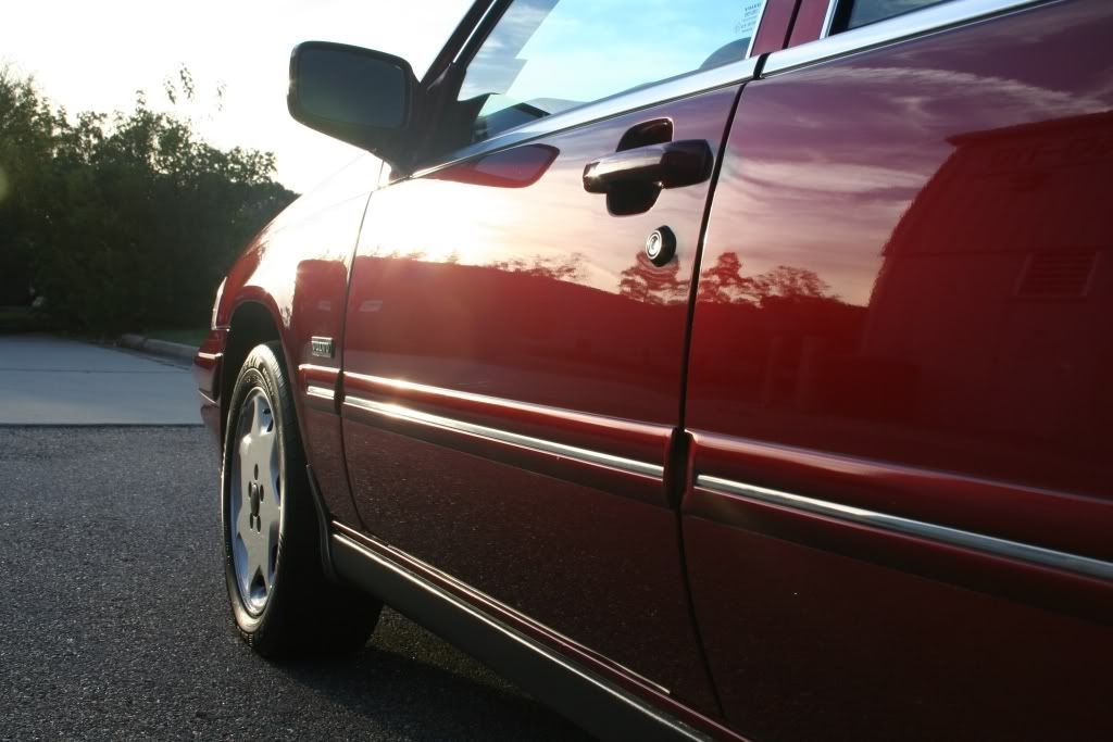 97s9010.jpg