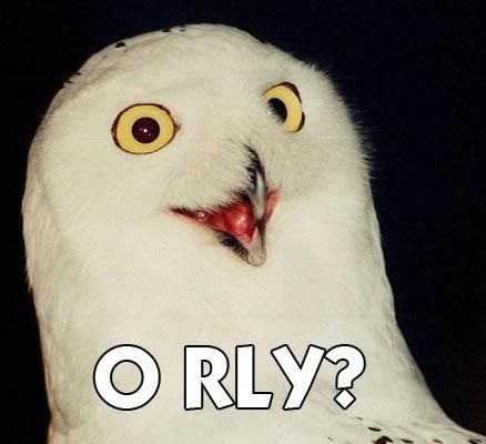 owl1.jpg