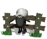 SheeponFence.gif