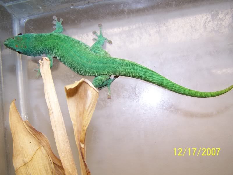 blue2.jpg