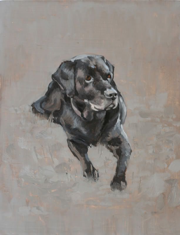 oil on gesso primed panel