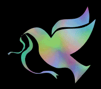 Peace dove Pictures, Images and Photos