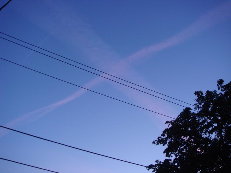 http://i45.photobucket.com/albums/f88/dragon208/DSC02687.jpg