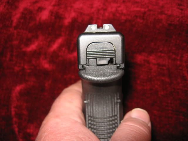 Glock29SF10mm4-16-115.jpg