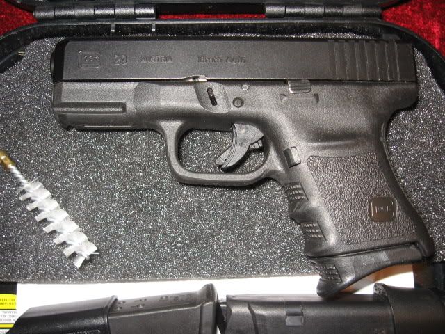 MyGlock29SF1-15-113.jpg