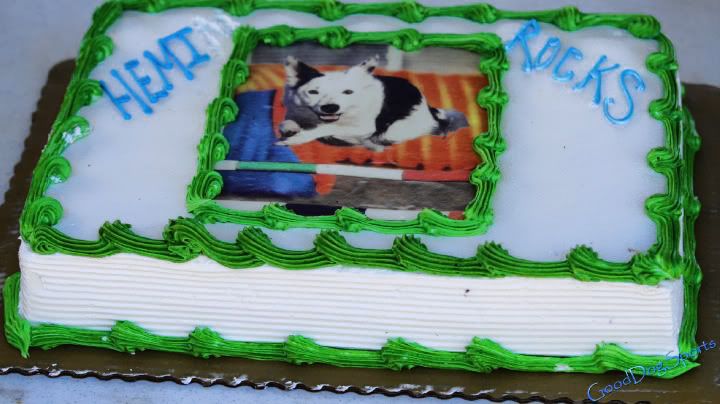 dog agility cake