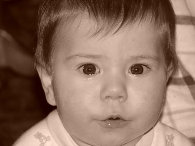 Image hosting by Photobucket