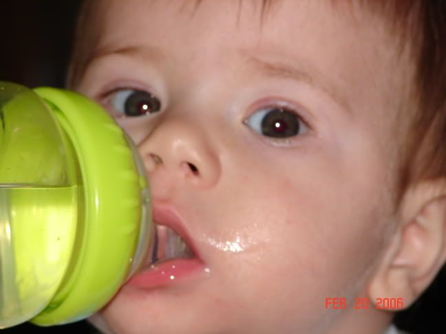 Image hosting by Photobucket