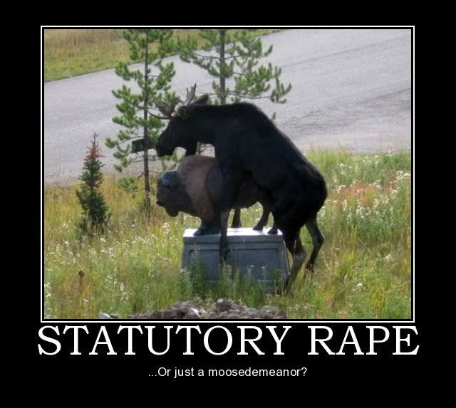 rape is funny photo: STATUTORY RAPE DeMotivational133.jpg