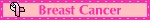 breastcancer-vi.gif