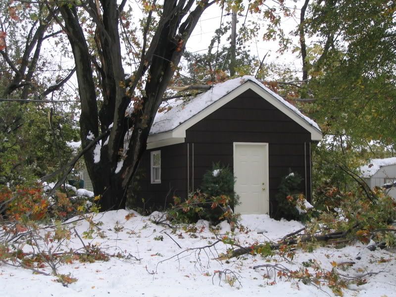 How much snow did buffalo ny get