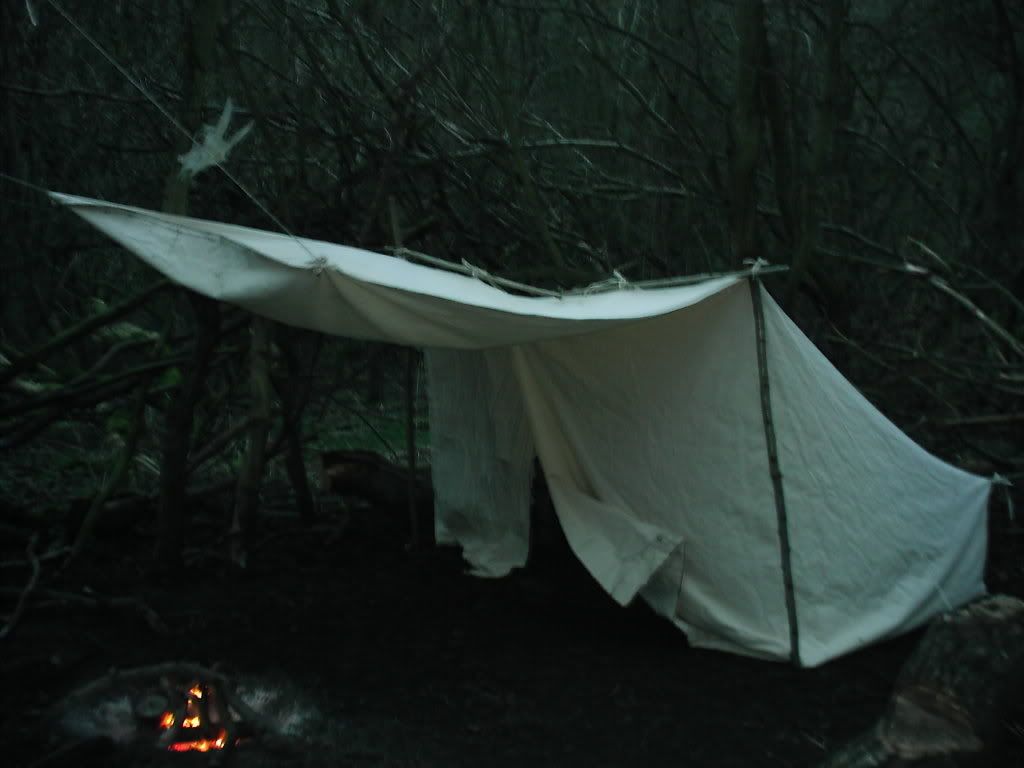 IMAG0016.jpg