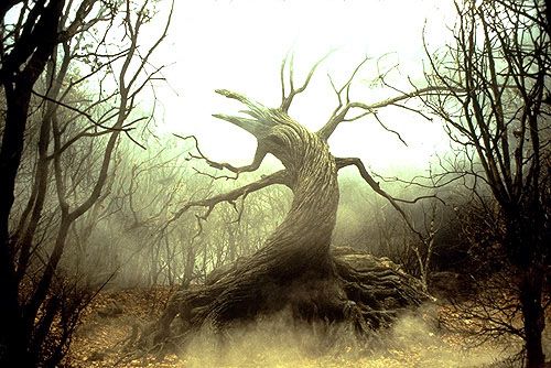  photo sleepy-hollow-tree-of-the-dead-2_zps20d3ae75.jpg