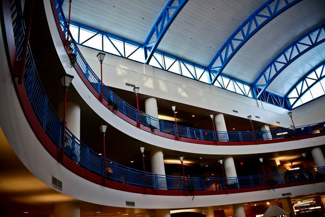 IMAGE: http://i45.photobucket.com/albums/f95/Tempo92/Photography/IMG_7295.jpg