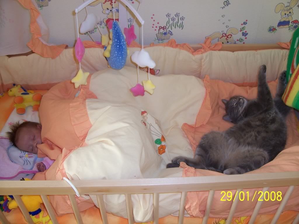 Качена снимка