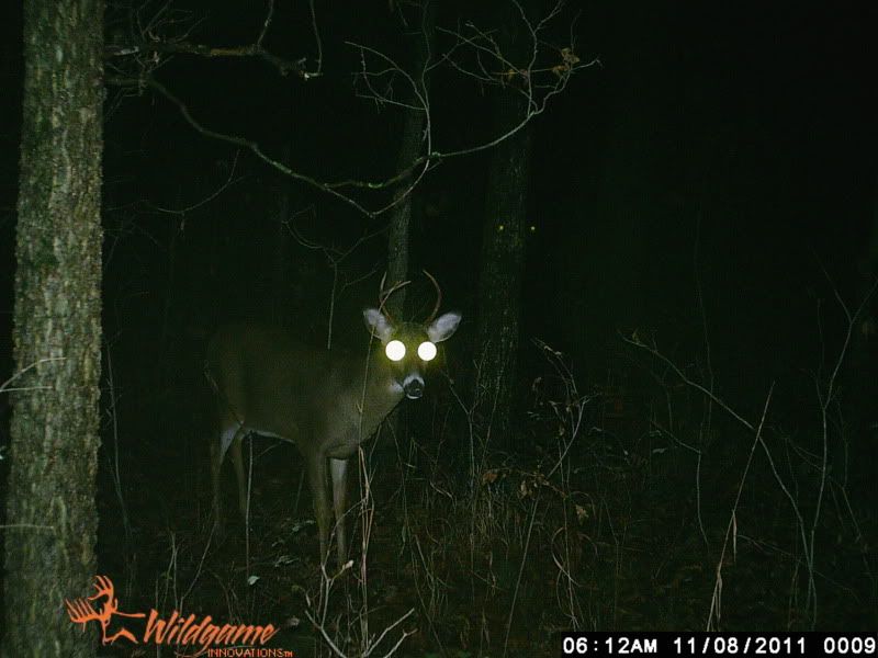 deerhunting009.jpg