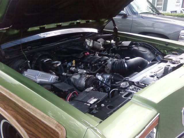 [Image: Photo0311.jpg]